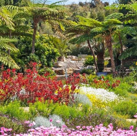 Photo: The Australian Botanic Garden